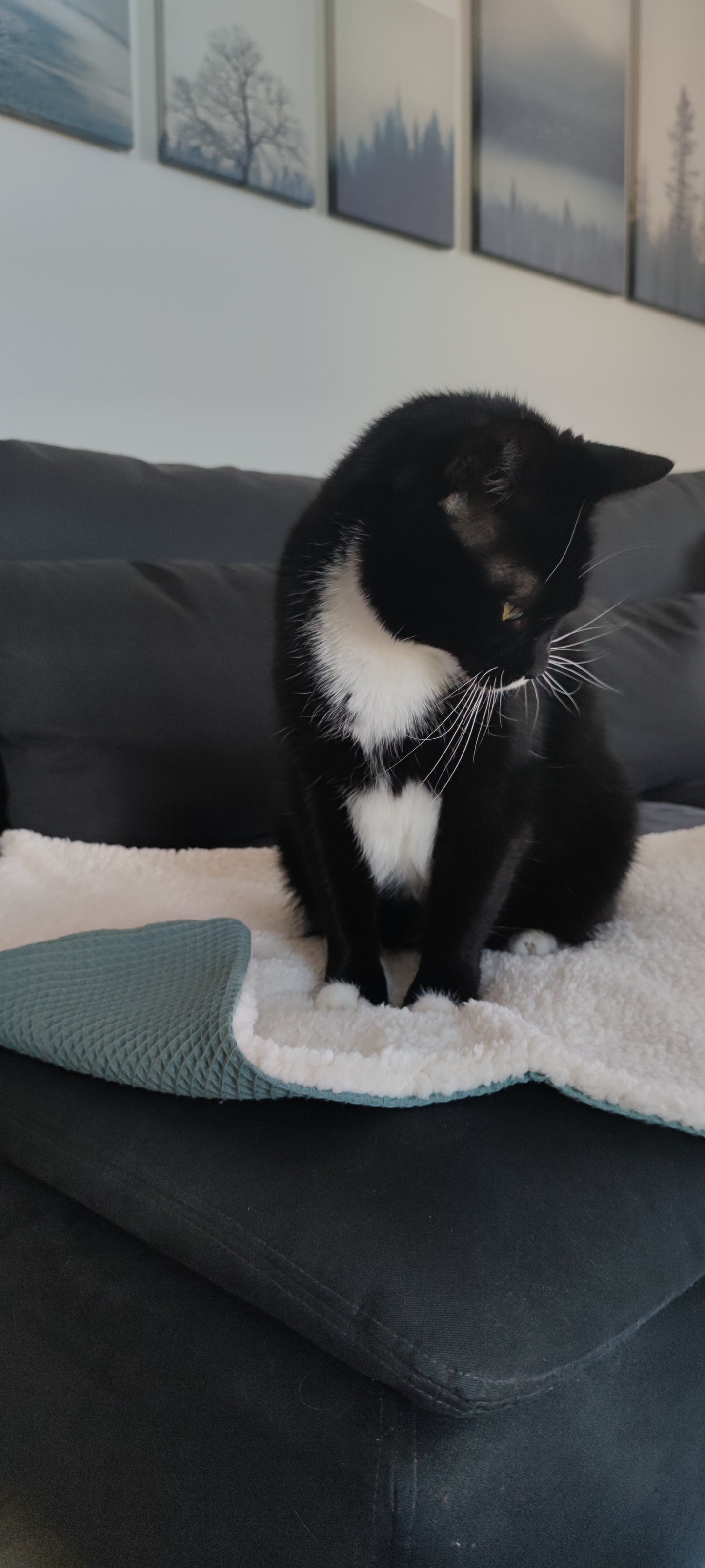 Kuscheldecke Lammfelloptik mintgrün